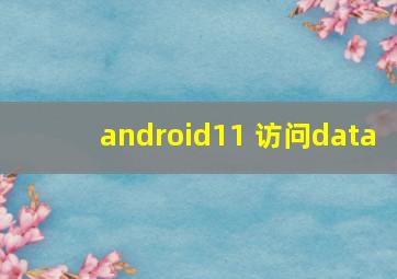 android11 访问data